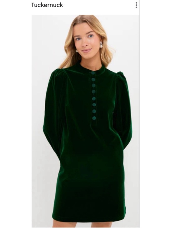 Pomander Place Dresses & Skirts - NWT Tuckernuck Pomander Place Hunter Green Velvet Samantha Mini Dress M